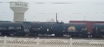 CTCX 729179